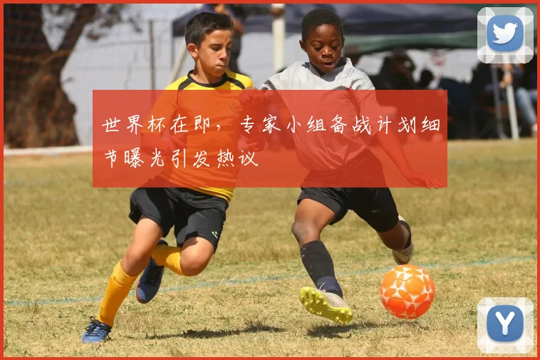 世界杯在即,专家小组备战计划细节曝光引发热议 - 2026世界杯推荐
