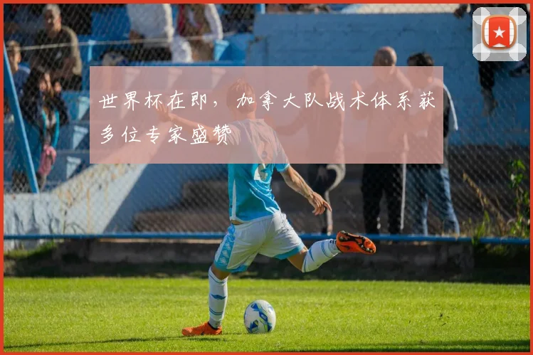 世界杯在即,加拿大队战术体系获多位专家盛赞 - 2026世界杯推荐